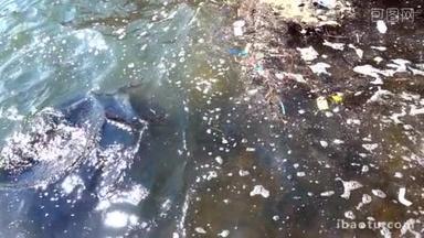 垃圾和垃圾漂浮在水面上.污物和塑料垃圾漂浮在海面上的水污染 